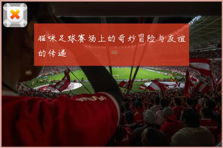 猫咪足球赛场上的奇妙冒险与友谊的传递