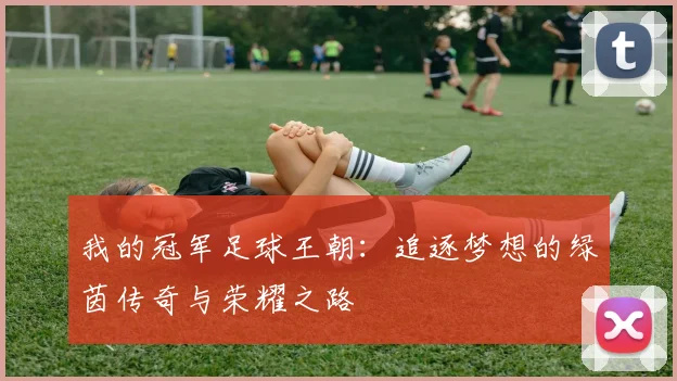 我的冠军足球王朝：追逐梦想的绿茵传奇与荣耀之路