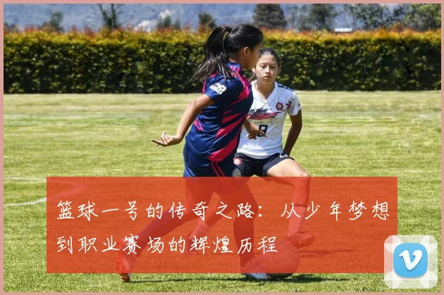 篮球一号的传奇之路：从少年梦想到职业赛场的辉煌历程
