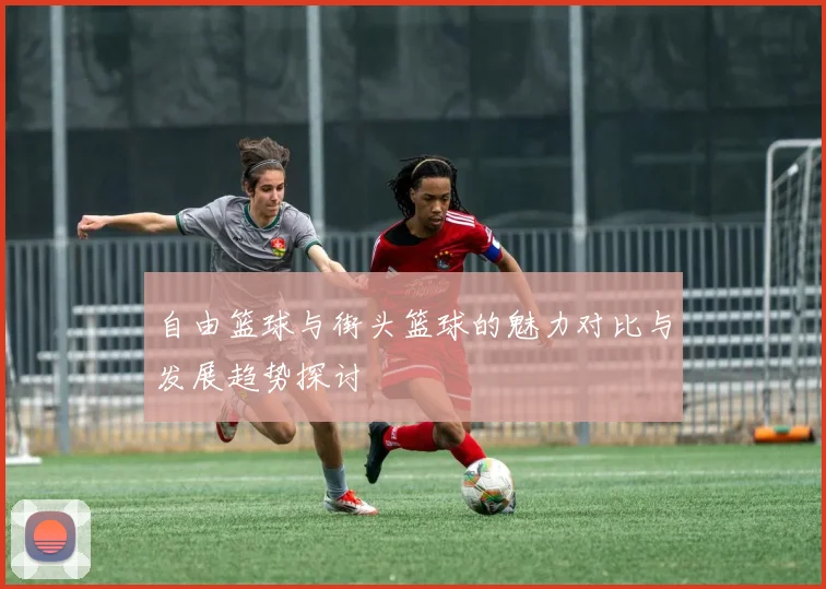 自由篮球与街头篮球的魅力对比与发展趋势探讨