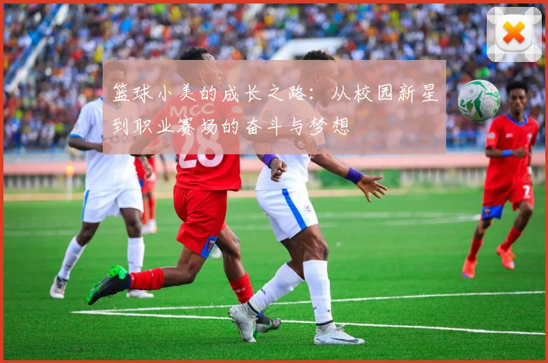 篮球小美的成长之路：从校园新星到职业赛场的奋斗与梦想