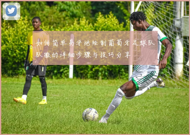 如何简单易学地绘制葡萄牙足球队队徽的详细步骤与技巧分享