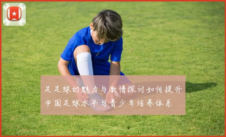 足足球的魅力与激情探讨如何提升中国足球水平与青少年培养体系