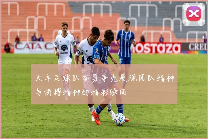 大丰足球队奋勇争先展现团队精神与拼搏精神的精彩瞬间